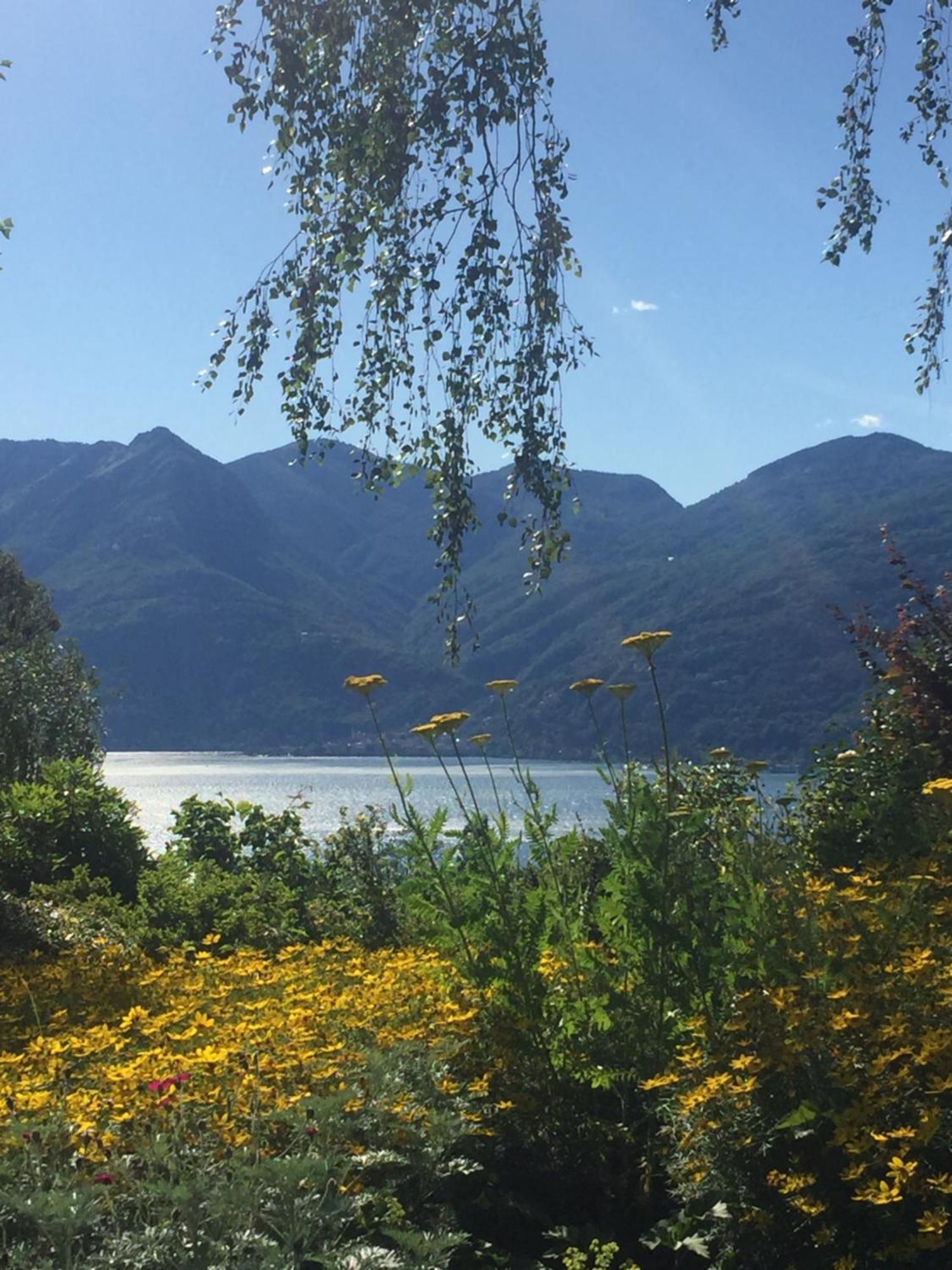 Casetta In Giardino Con Piscina Luino Kültér fotó