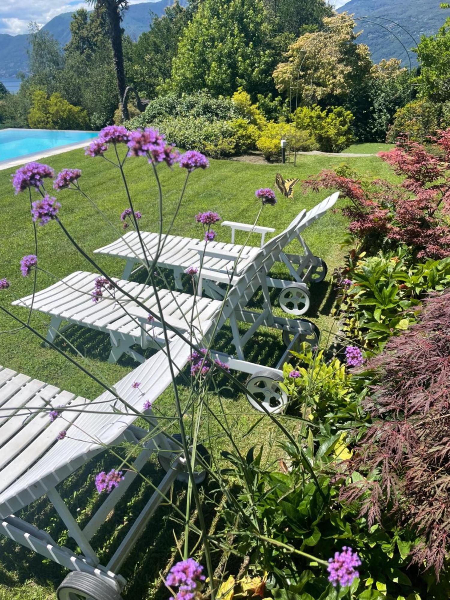 Casetta In Giardino Con Piscina Luino Kültér fotó