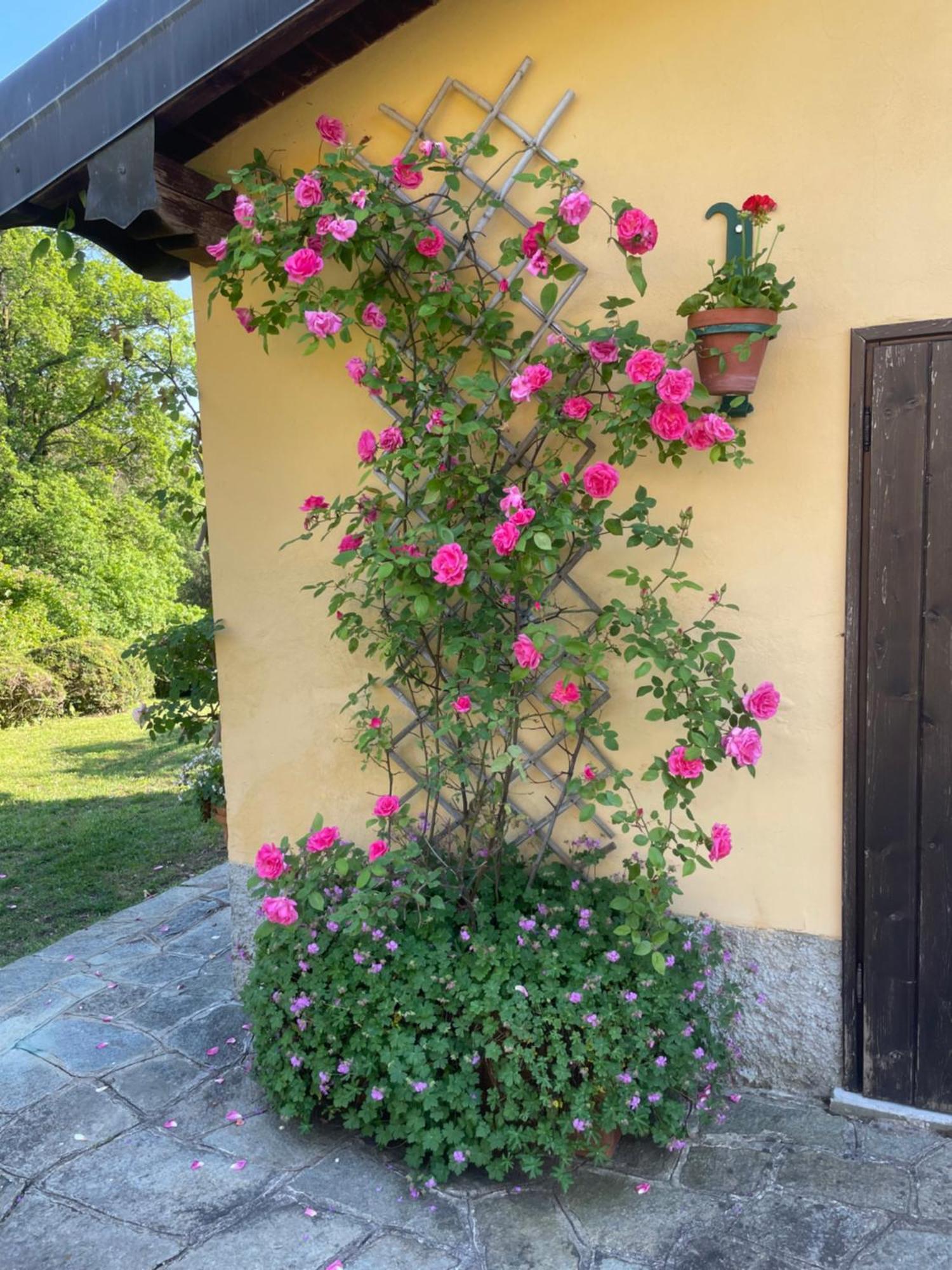 Casetta In Giardino Con Piscina Luino Kültér fotó